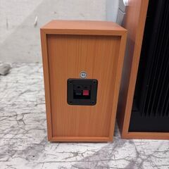 値引き 21534  デジタルサラウンド対応ホームシアターシステム REAL   ◆大阪市内・東大阪市他 6,000円以上ご購入で無料配達いたします！◆ ※高槻・枚方方面◆西宮・尼崎方面◆生駒方面　それぞれ条件付き無料配送あり！            の画像