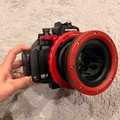 OLYMPUS E-M5セットの画像