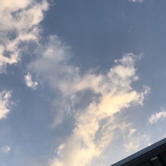 同性の友達募集