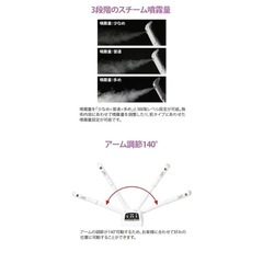 セブンビューティースチーマーの画像