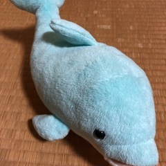 イルカ　ぬいぐるみ　海遊館