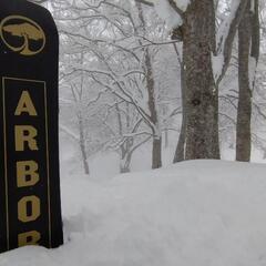 【スノボ】1月19日八王子発日帰り🏂️