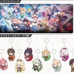 ☆値下げ☆【未使用品】Breakers ブレイカーズ オリジナルグッズの画像