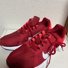 決まりました⭕️NIKE ランニングシューズ　25.5センチ