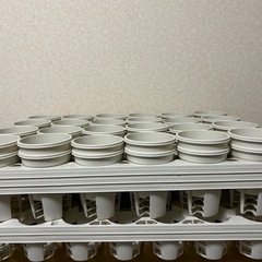 植木鉢 プラ鉢の画像