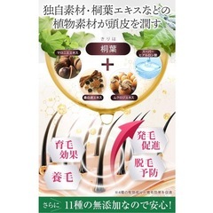 【新品・未開封3本セット】女性のための育毛剤 薬用リリィジュ RICH 75ml 3本セットの画像
