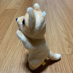 【新品・未使用】たっちいZoo ★　犬　ぬいぐるみ　人気　①の画像