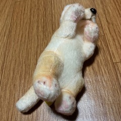 【新品・未使用】たっちいZoo ★　犬　ぬいぐるみ　人気　①の画像