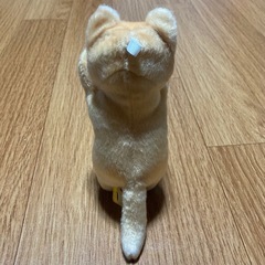 【新品・未使用】たっちいZoo ★　犬　ぬいぐるみ　人気　②の画像