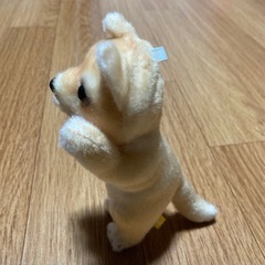 【新品・未使用】たっちいZoo ★　犬　ぬいぐるみ　人気　②の画像