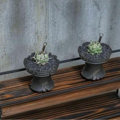 植物育成棚　ダクトレール付き　男前インテリア　アイアンシェルフ　棚　ラック　塊根植物　多肉植物　の画像