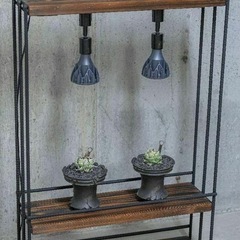 植物育成棚　ダクトレール付き　男前インテリア　アイアンシェルフ　棚　ラック　塊根植物　多肉植物　の画像