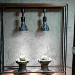 植物育成棚　ダクトレール付き　男前インテリア　アイアンシェルフ　棚　ラック　塊根植物　多肉植物　の画像