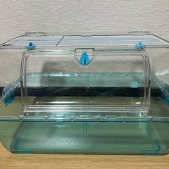 ブルー･ルーミー