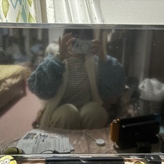 パナソニック液晶テレビ