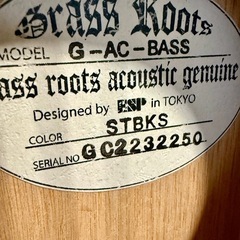 GrassRoots G-AC-BASS 中古美品
