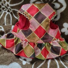 うさぎ ハーネス ドレスの画像