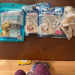 歯みがきガム　犬用Lサイズの画像