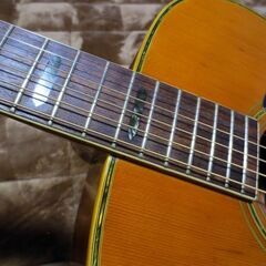 決まりました）80年代国産ビンテージ トップ蝦夷(えぞ)松MORALES 縦ロゴＭ250の画像