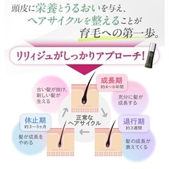 【新品・未開封3本セット】女性のための育毛剤 薬用リリィジュ RICH 75ml 3本セットの画像