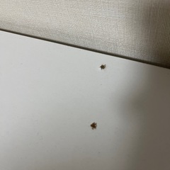 ニトリの本棚の画像