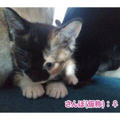 ありがとうございました😸✨