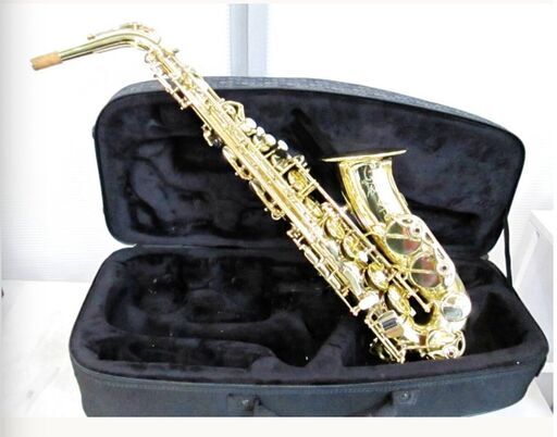 HENRI SELMER PARIS セルマー・パリ　サクソフォン　アルトサックス　Axos　アクソス　取扱説明書付き　専用ケース付き　マウスピース