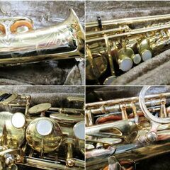 YANAGISAWA　アルトサックス　A-900　ALTO 専用ハードケース付き　マウスピース　付属品多数　ヤナギサワ　専門メーカー　有名ブランドの画像