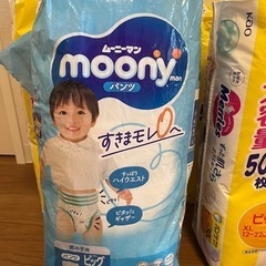 メリーズパンツ　XL BIGサイズ177枚の画像