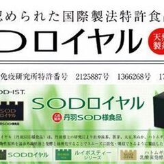 🏥👪🐶🐱SOD ROYAL(丹羽メディカル/SOD様酵素/…
