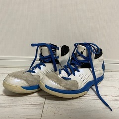 ナイキスニーカー NIKE JORDAN ACE 23 II