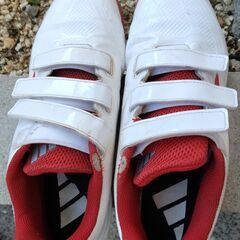 野球トレーニングシューズ( adidas GW1930)