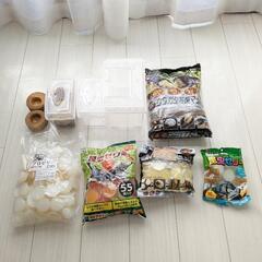 【取引中】カブトムシ・クワガタ　飼育セット