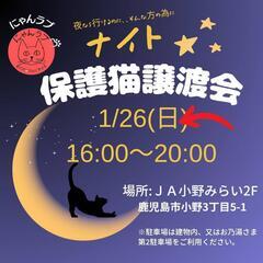 にゃんラブナイト譲渡会1/26