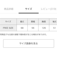 レプシム　ニットの画像