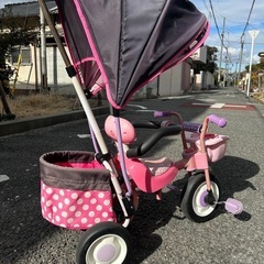 ミニーちゃん三輪車 決まりました。の画像