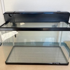 60センチ水槽