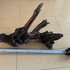 アクアリウム用流木　1点