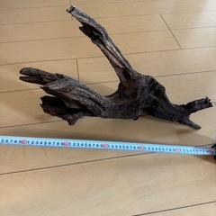 アクアリウム用流木　1点の画像
