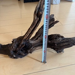 アクアリウム用流木　1点の画像