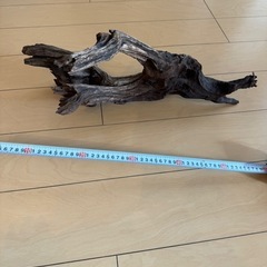 アクアリウム用流木　1点の画像