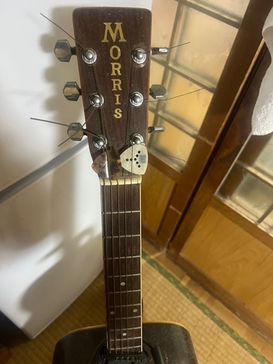 MORRIS ギター