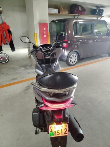 PCX81