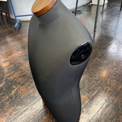 男性　トルソーの画像