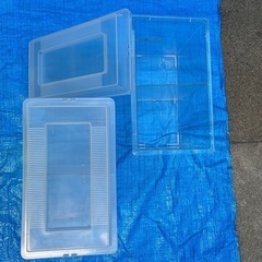 値下げ‼️　オオクワガタ　飼育容器　2個　セットの画像
