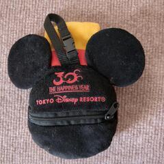TDL30周年ミッキー小物入れの画像