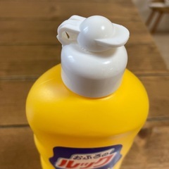 ★決定しました★お風呂の磨き洗いの画像