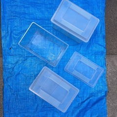 値下げ‼️　オオクワガタ　飼育容器　3個　セット