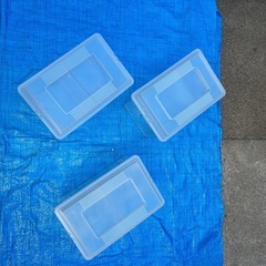 値下げ‼️　オオクワガタ　飼育容器　3個　セットの画像