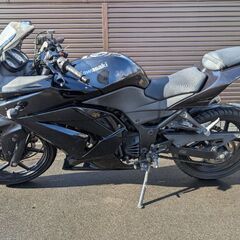 Ninja250Rの画像